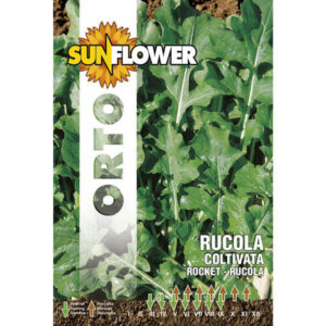 Sementi Rucola Coltivata Foglia Larga    Sunflower