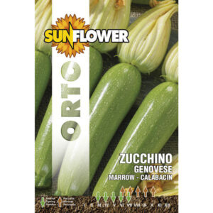 Sementi Zucchino Genovese                Sunflower