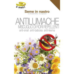 15 Pezzi Sementi Fiori Antilumache                Sunflower