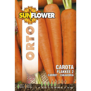 Sementi Carota Flakkee 2                 Sunflower