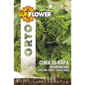 20 Pezzi Sementi Cima Di Rapa Quarantina          Sunflower