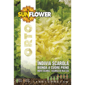 Sementi Indivia E Scarola                Sunflower