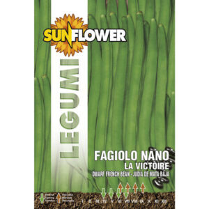 Sementi Fagiolo Nano La Victoire         Sunflower