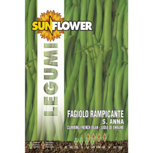 Sementi Fagiolo Rampicante Sant'anna     Sunflower