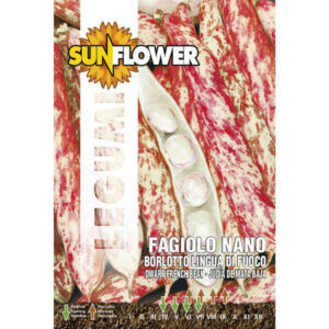 Sementi Fagiolo Borlotto Nano            Sunflower